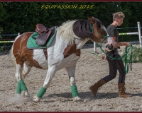 1-13JUIN 0677